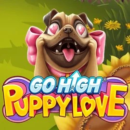 Go High Puppy Love by RubyPlay, showcased at casoolaacasino.de – game logo