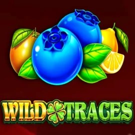 Official Slots logo: Wild Traces by Amusnet Interactive at Casoola Casino